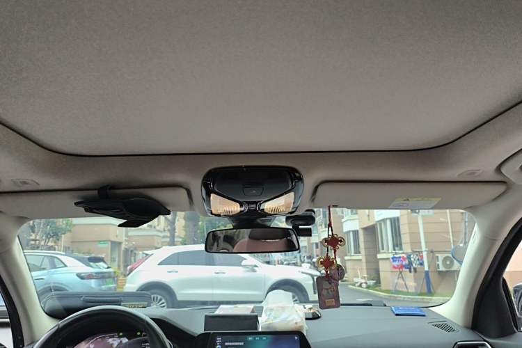 Used BMW 3 Series 2020 325Li M Sport Package Headliner