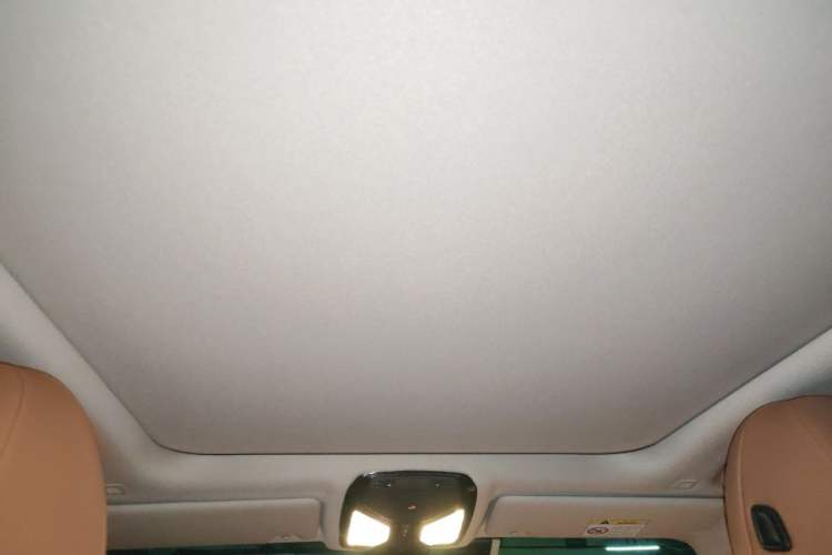 Used BMW 3 Series 2020 325Li M Sport Night Edition Package Headliner