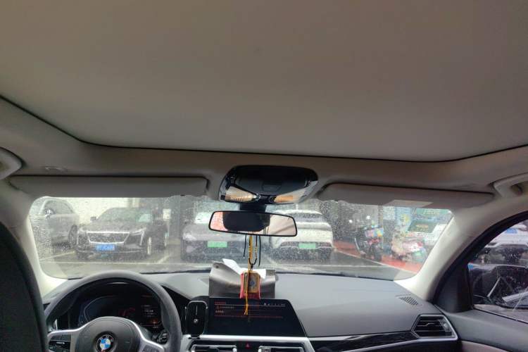 Used BMW 3 Series 2020 320Li M Sport Package Headliner