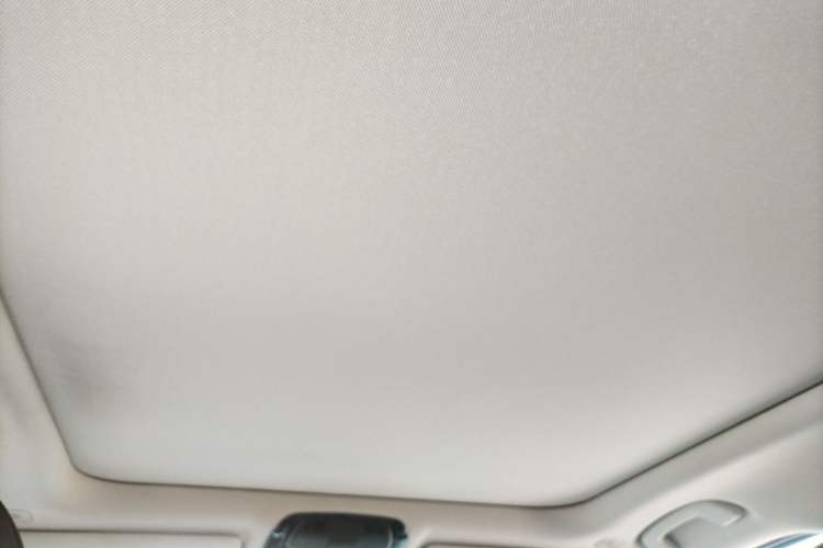 Used BMW 3 Series 2020 325Li M Sport Package Headliner