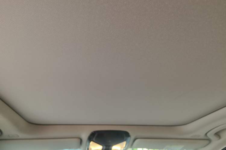 Used BMW 3 Series 2020 320Li M Sport Package Headliner