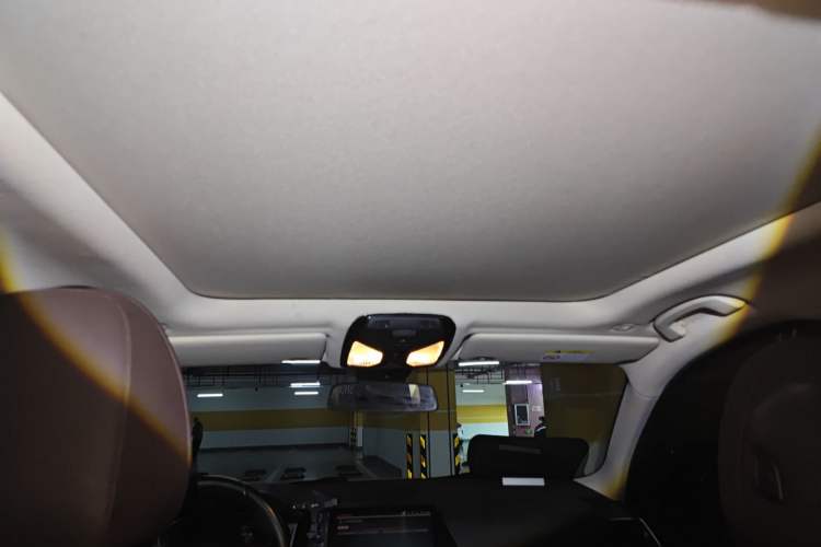 Used BMW 3 Series 2020 Restyled 325Li M Sport Package Headliner