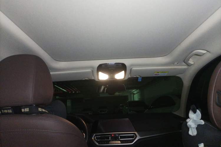 Used BMW 3 Series 2020 Facelifted 325Li M Sport Night Edition Package Headliner