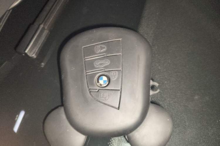 Used BMW 3 Series 2020 Facelifted 325Li M Sport Night Edition Package Vehicle Key