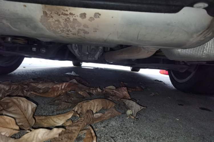 Used BMW 3 Series 2020 325Li M Sport Night Edition Package Chassis Rear