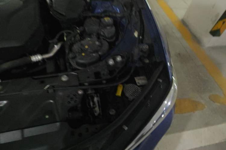Used BMW 3 Series 2020 320Li M Sport Package Engine Bay Left