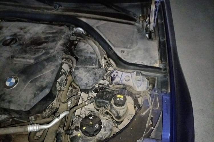 Used BMW 3 Series 2020 320Li M Sport Package Engine Bay Left