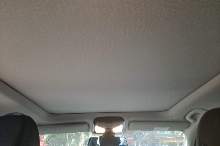 Used BMW 3 Series 2020 320Li M Sport Package Headliner