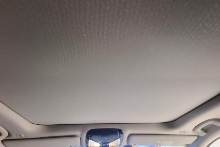 Used BMW 3 Series 2020 325Li M Sport Package Headliner