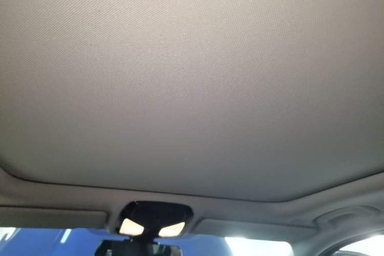 Used BMW 3 Series 2020 320Li M Sport Package Headliner