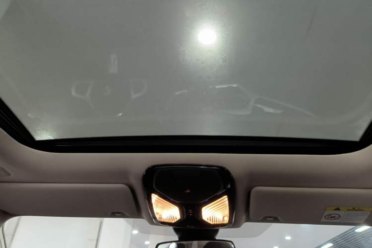 Used BMW 3 Series 2020 325Li M Sport Package Headliner