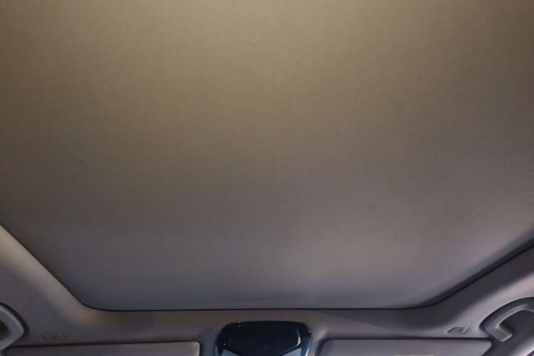 Used BMW 3 Series 2020 Facelifted 325Li M Sport Night Edition Package Headliner