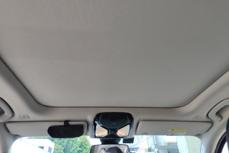 Used BMW 3 Series 2020 325Li M Sport Package Headliner