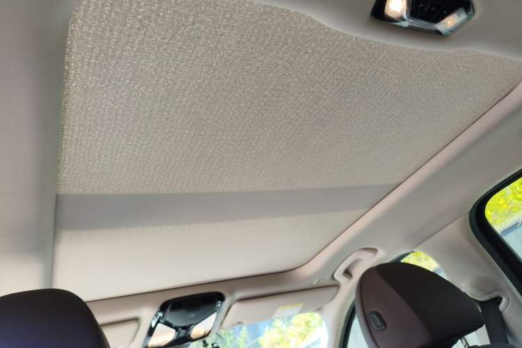 Used BMW 3 Series 2020 325Li M Sport Package Headliner