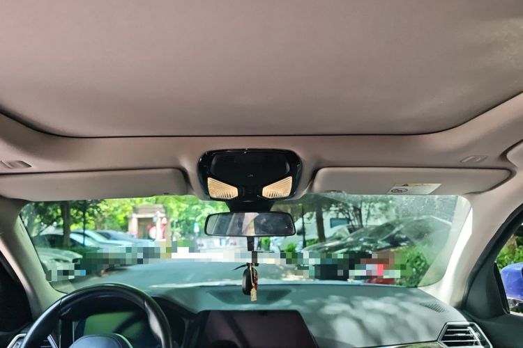 Used BMW 3 Series 2020 325Li M Sport Package Headliner