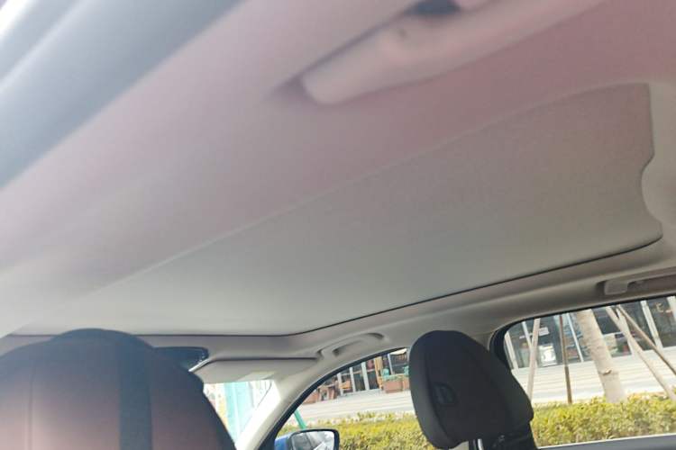 Used BMW 3 Series 2020 320Li M Sport Package Headliner