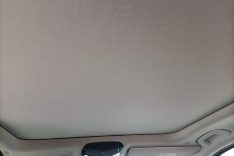 Used BMW 3 Series 2020 325Li M Sport Night Edition Package Headliner