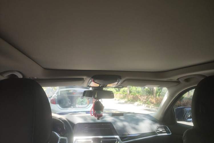 Used BMW 3 Series 2020 320Li M Sport Package Headliner