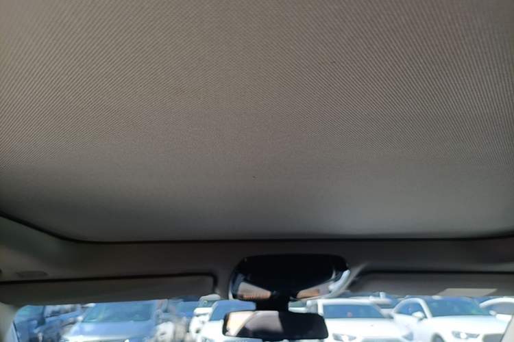 Used BMW 3 Series 2020 320Li M Sport Package Headliner
