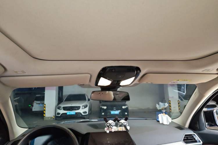 Used BMW 3 Series 2020 325Li M Sport Night Edition Package Headliner