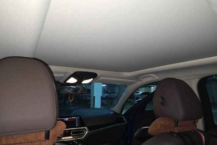 Used BMW 3 Series 2020 320Li M Sport Package Headliner