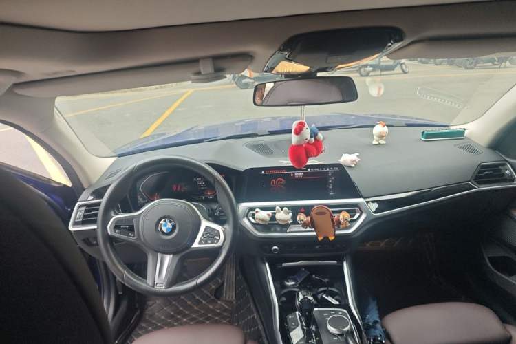 Used BMW 3 Series 2020 320Li M Sport Package Headliner