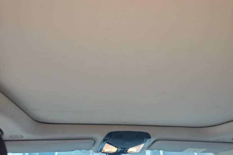 Used BMW 3 Series 2020 320Li M Sport Package Headliner