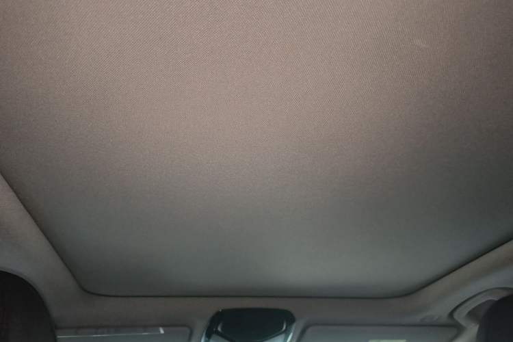Used BMW 3 Series 2020 325Li M Sport Package Headliner