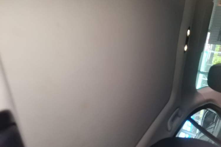 Used BMW 3 Series 2020 325Li M Sport Package Headliner