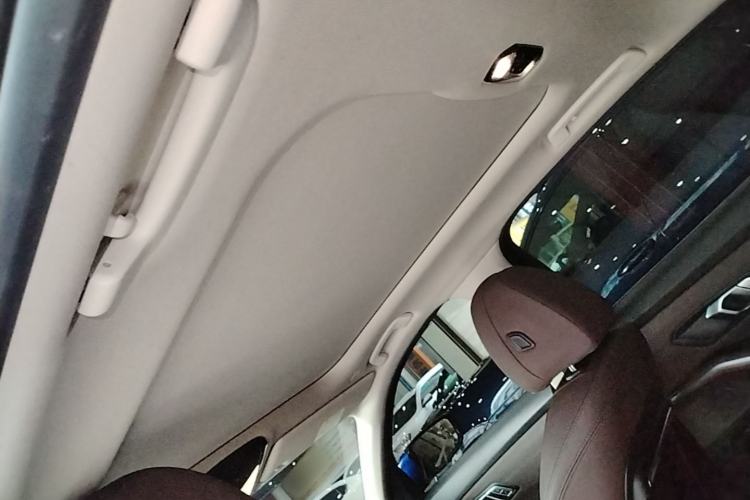 Used BMW 3 Series 2020 320Li M Sport Package Headliner