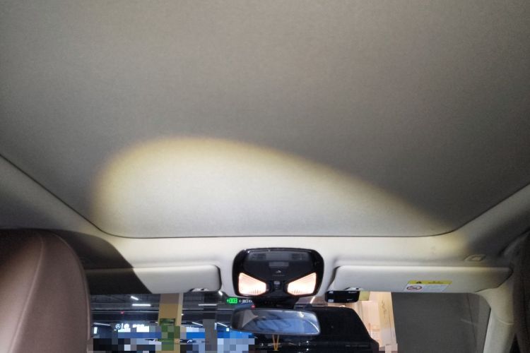 Used BMW 3 Series 2020 320Li M Sport Package Headliner