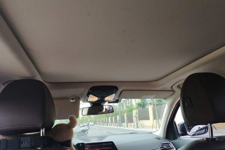 Used BMW 3 Series 2020 Restyled 325Li M Sport Package Headliner