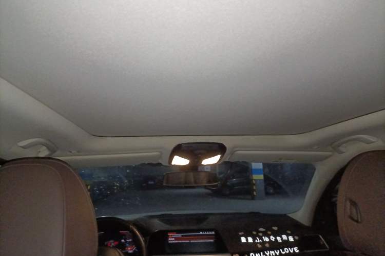 Used BMW 3 Series 2020 320Li M Sport Package Headliner