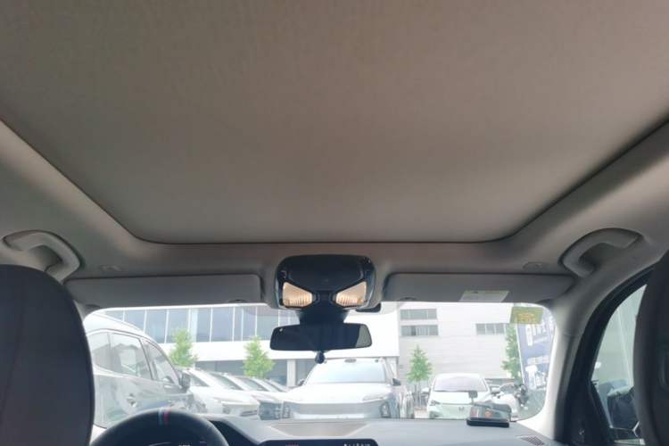 Used BMW 3 Series 2020 325Li M Sport Night Edition Package Headliner