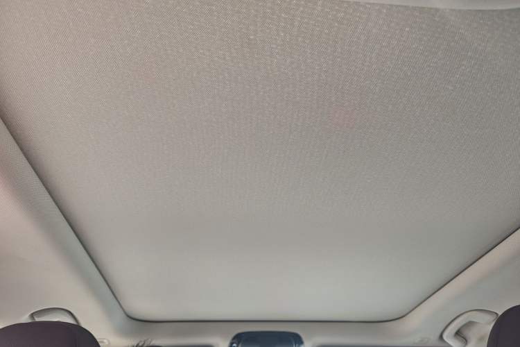 Used BMW 3 Series 2020 Restyled 325Li M Sport Package Headliner