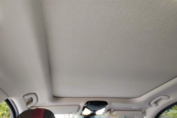 Used BMW 3 Series 2020 325Li M Sport Package Headliner