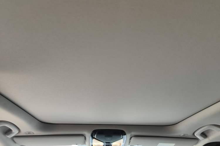 Used BMW 3 Series 2020 325Li M Sport Package Headliner
