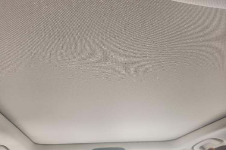Used BMW 3 Series 2020 325Li M Sport Package Headliner