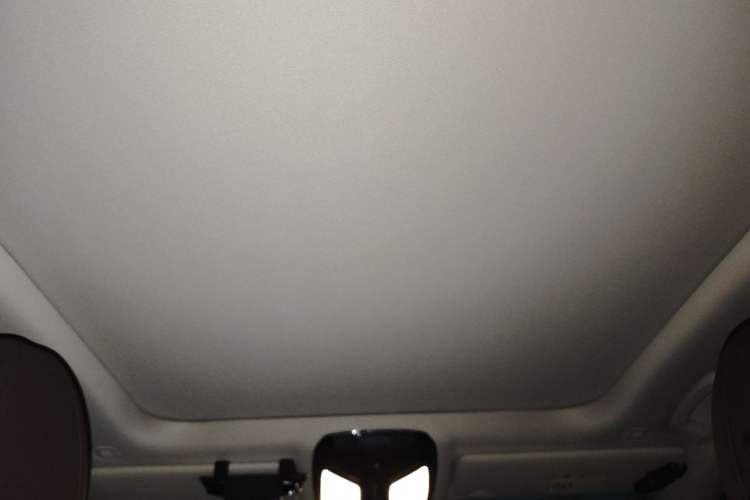 Used BMW 3 Series 2020 320Li M Sport Package Headliner