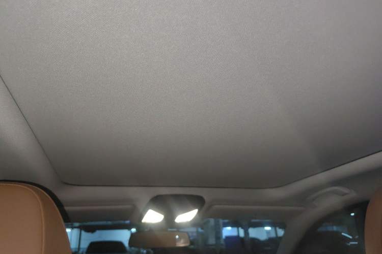 Used BMW 3 Series 2020 320Li M Sport Package Headliner