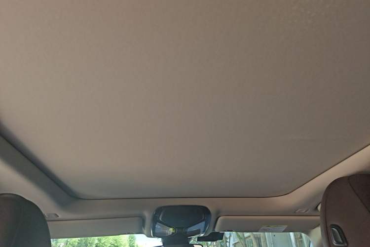 Used BMW 3 Series 2020 Facelifted 325Li M Sport Night Edition Package Headliner