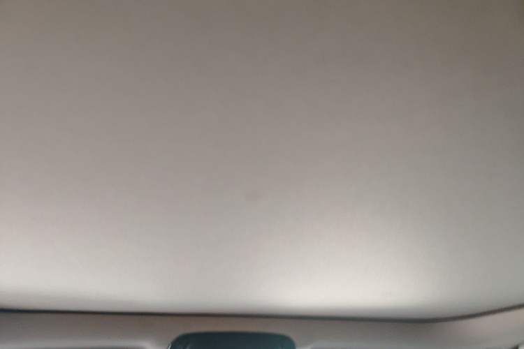 Used BMW 3 Series 2020 320Li M Sport Package Headliner