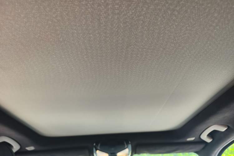Used BMW 3 Series 2020 Restyled 325Li M Sport Package Headliner