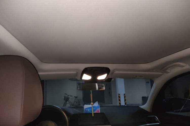 Used BMW 3 Series 2020 325Li M Sport Package Headliner
