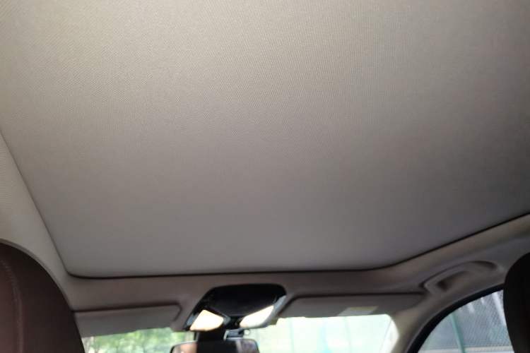 Used BMW 3 Series 2020 320Li M Sport Package Headliner
