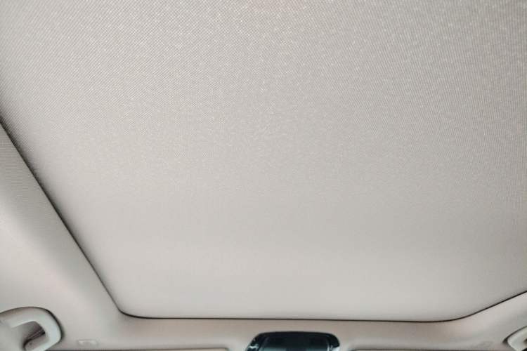 Used BMW 3 Series 2020 320Li M Sport Package Headliner