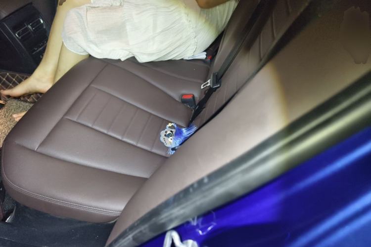 Used BMW 3 Series 2020 Restyled 325Li M Sport Package Left Rear Seat