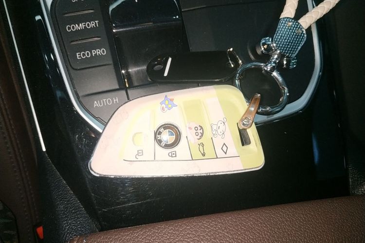 Used BMW 3 Series 2020 320Li M Sport Package Vehicle Key