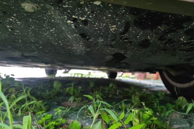 Used BMW 3 Series 2020 325Li First Edition Chassis Front