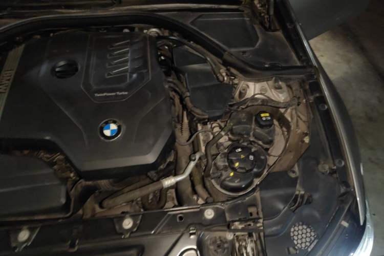 Used BMW 3 Series 2020 325Li First Edition Engine Bay Left